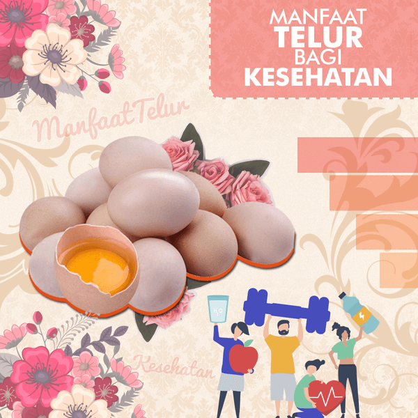 Manfaat Telur Bagi Kesehatan Manfaat Telur Bagi Kesehatan